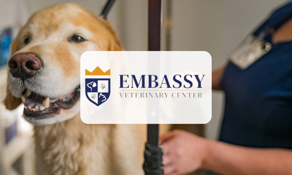 Embassy Veterinary Center