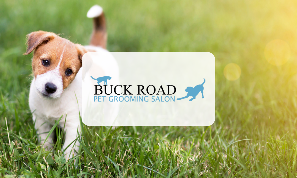 Buck Road Pet Grooming