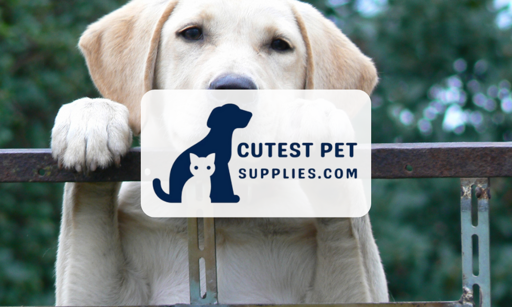 Cutest Pet Supplies